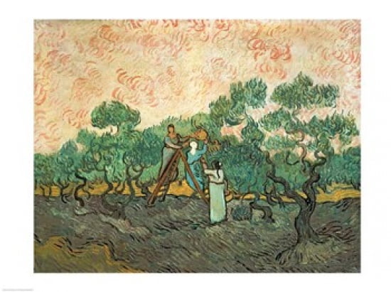 The Olive Pickers Canvas Art - Vincent Van Gogh (24 x 18)