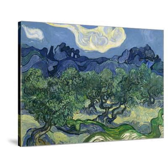 The Olive Trees, 1889, Stretched Canvas Wall Art by Vincent van Gogh Sold by Art.Com
