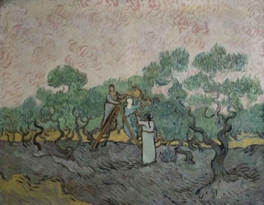 The Olive Trees Vincent van Gogh (1853-1890Dutch) Annenberg Collection Palm Springs California Canvas Art - Vincent van Gogh (24 x 36)