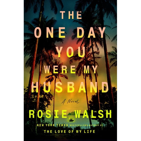 The One Day You Were My Husband: A Novel (Hardcover)