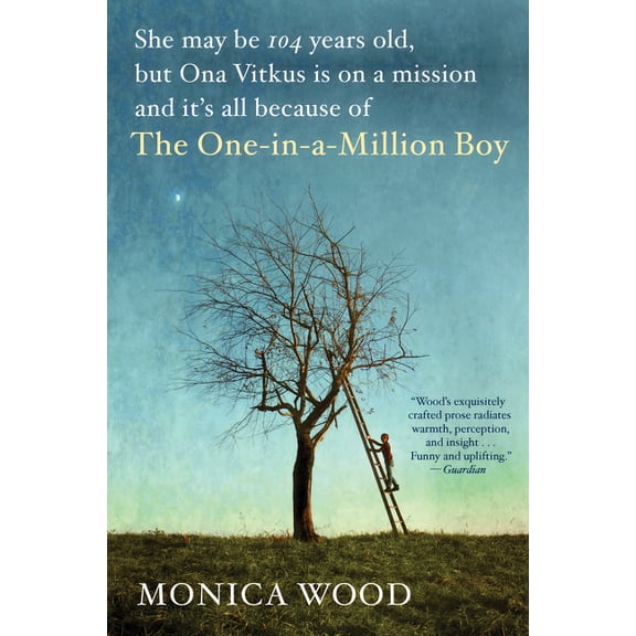 The One-In-A-Million Boy, (Paperback)