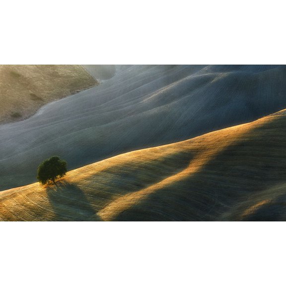 The One Poster Print - Tomasz Rojek (36 x 19)