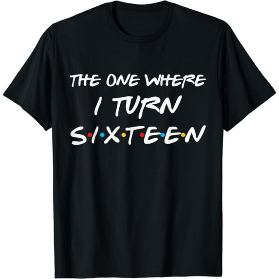 The One Where I Turn Siteen Funny 16th Birthday Party Gift T-Shirt