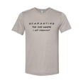 thumbnail image 1 of "The One Where I'm Pregnant Shirt, Pregnancy Announcement, Friends Shirt, Baby Reveal Shirt, Unisex Fit, I'm Pregnant, Mommy To Be, New Mom, Heather Stone, LARGE", 1 of 1