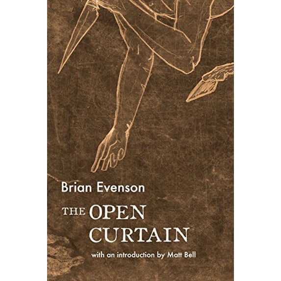 Pre-Owned The Open Curtain (Paperback) 1566894174 9781566894173