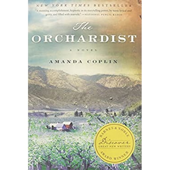 Pre-Owned Bn Discover 2012 Fiction : A Novel (Paperback) 9780062282897