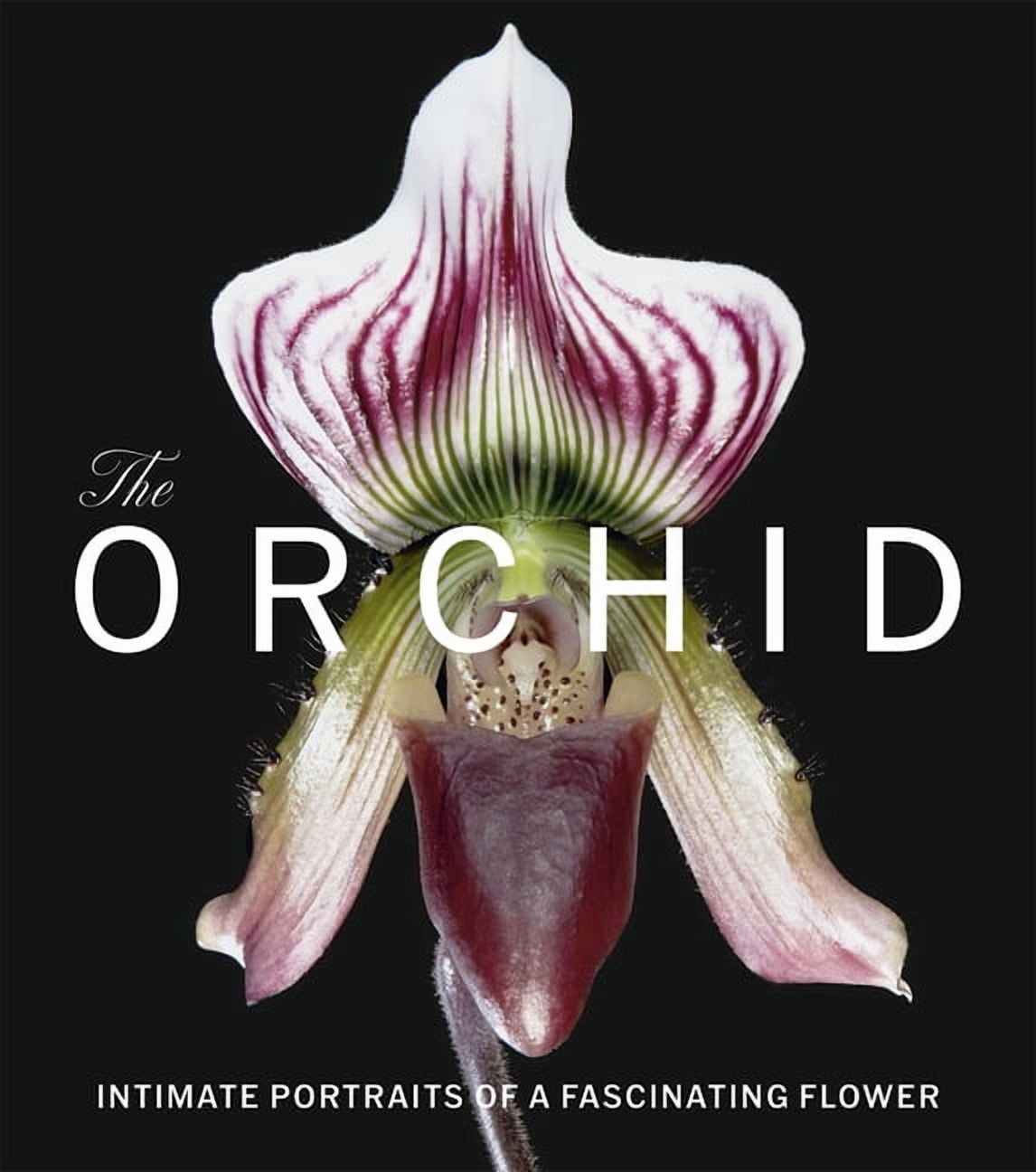 The Orchid: Intimate Portraits of a Fascinating Flower, (Hardcover)