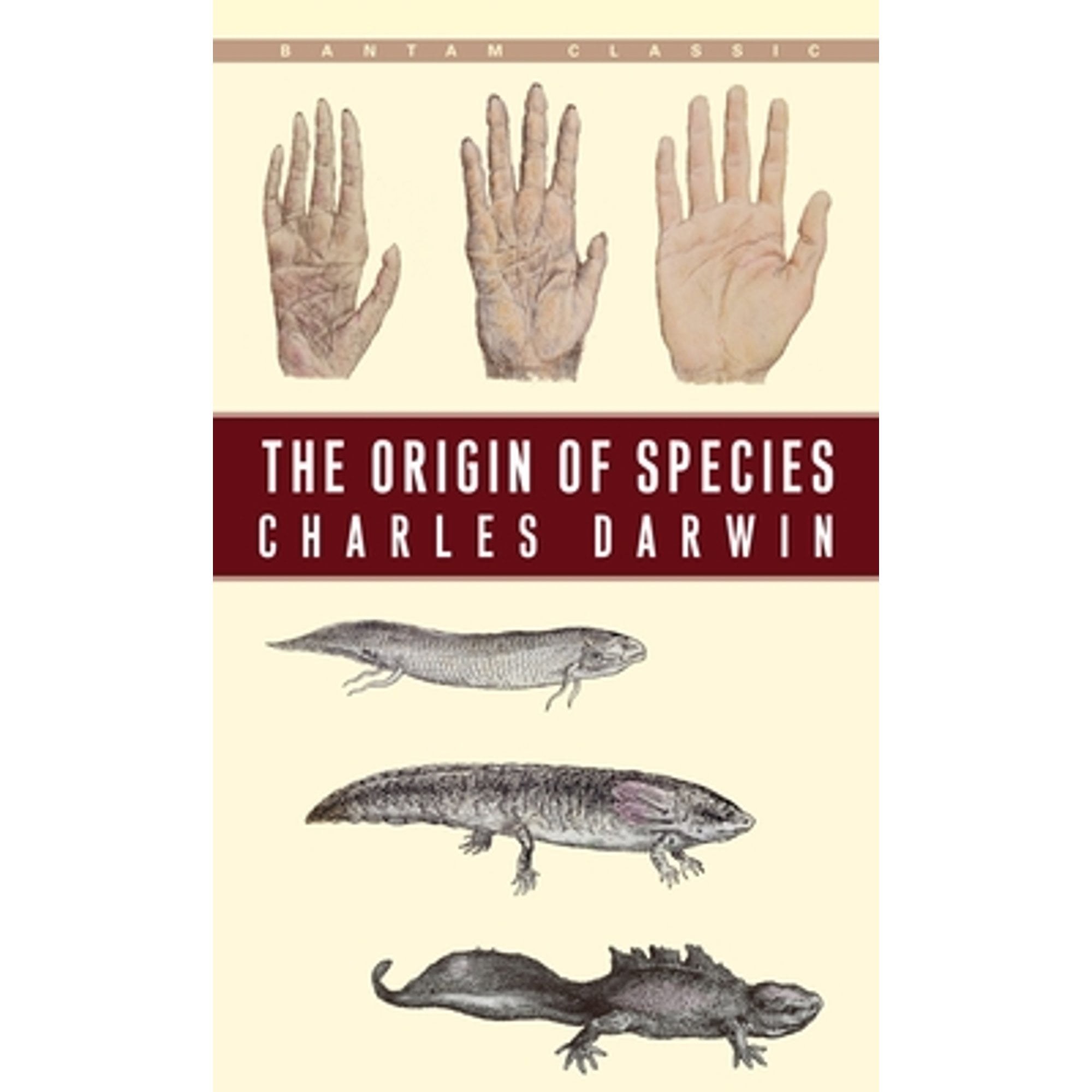 Pre-Owned The Origin of Species - Walmart.com