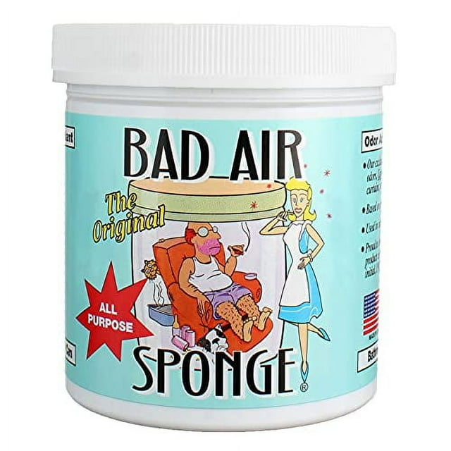 The Original Bad Air Sponge with Activated Charcoal All Purpose Odor