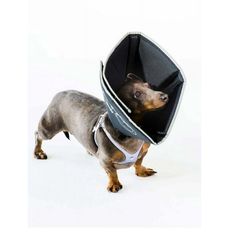 Comfy cone top dog collar
