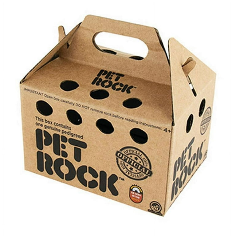 Pet rock cheap gift