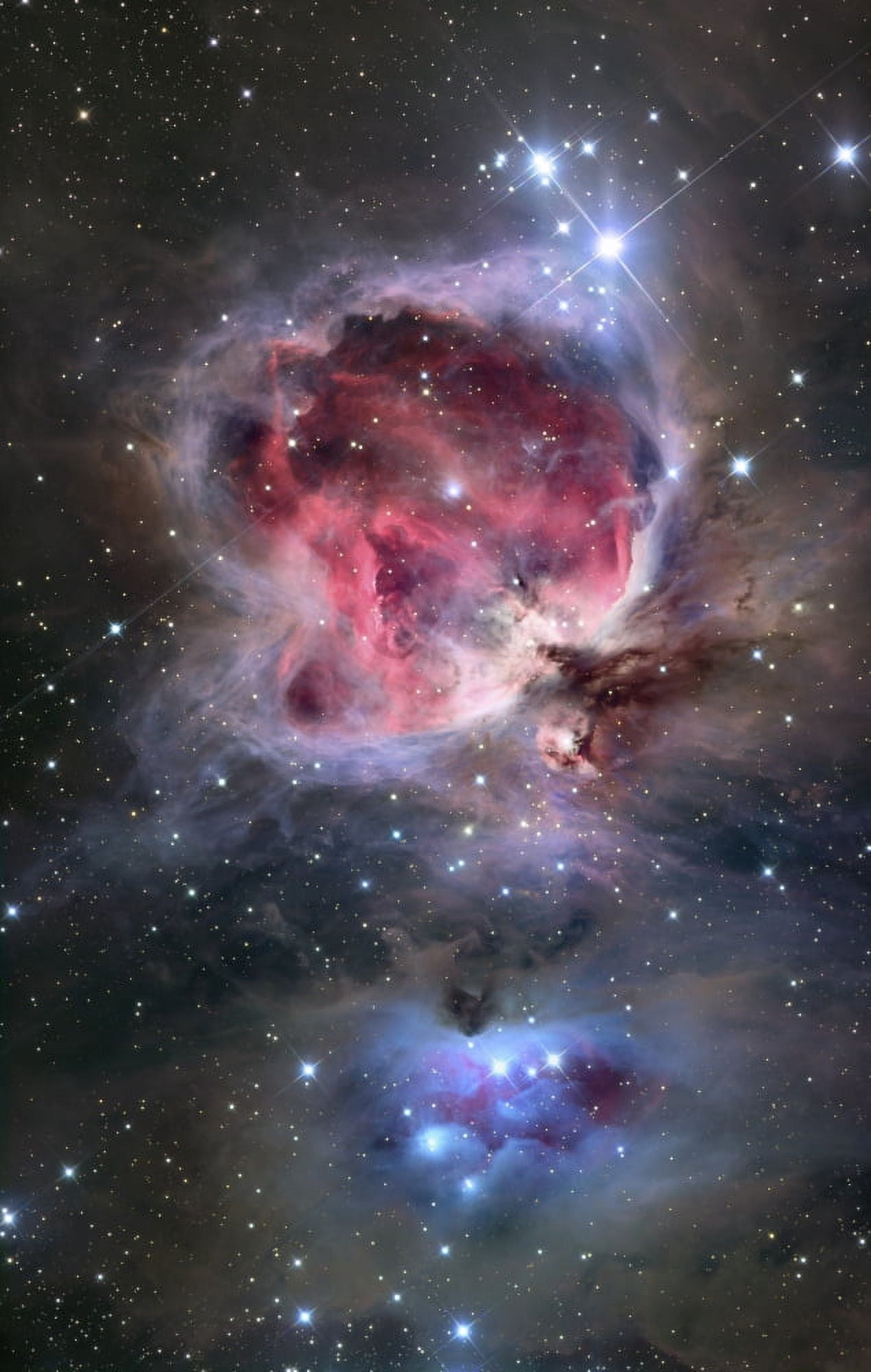 The Orion Nebula Canvas Art - Roth RitterStocktrek Images (12 x 18)