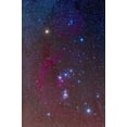 thumbnail image 1 of The Orion constellation Poster Print by Alan Dyer/Stocktrek Images (11 x 17), 1 of 1