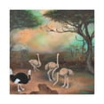 thumbnail image 1 of "The Ostrich Delight" - Canvas, 1 of 25