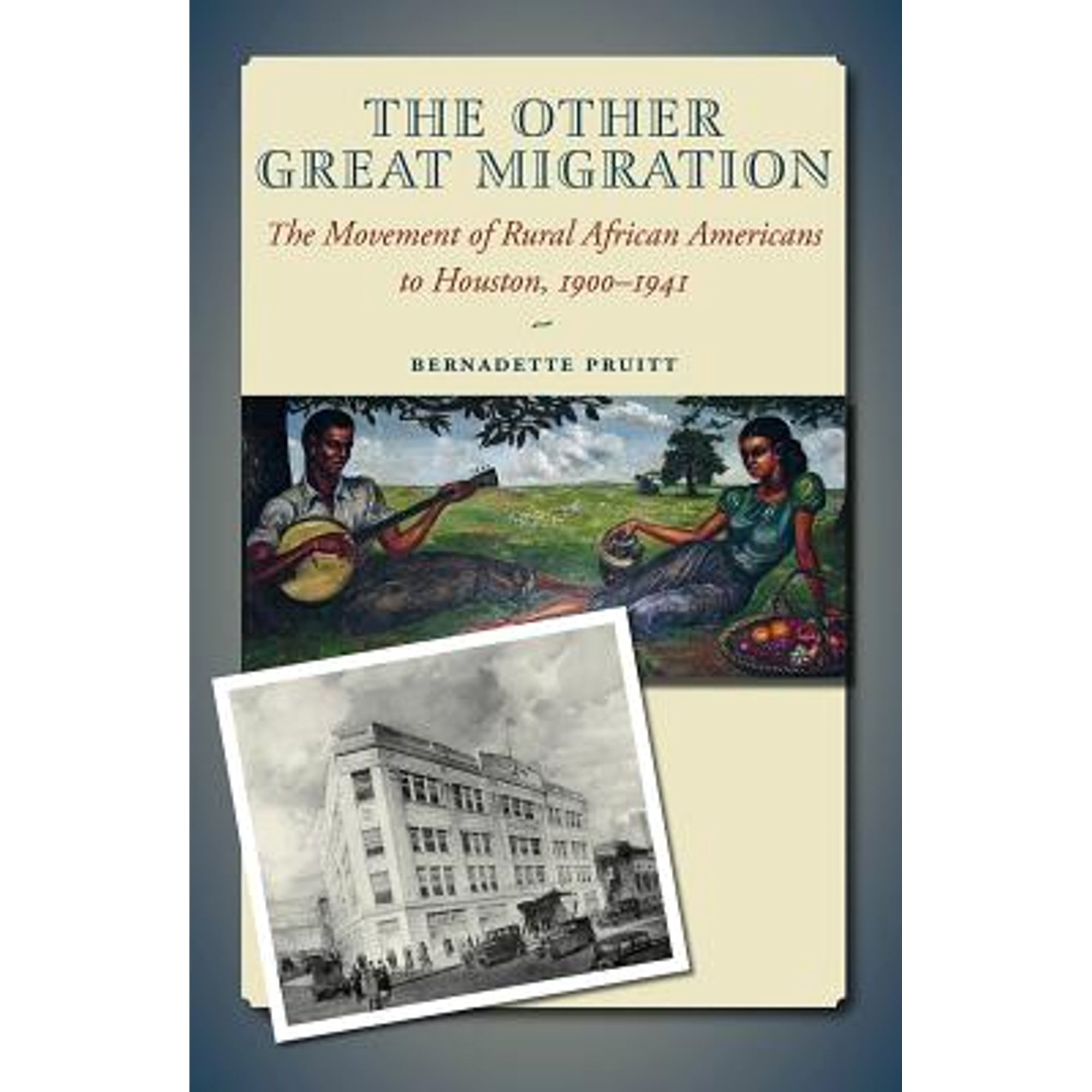 Pre-Owned The Other Great Migration: The Movement of Rural African ...