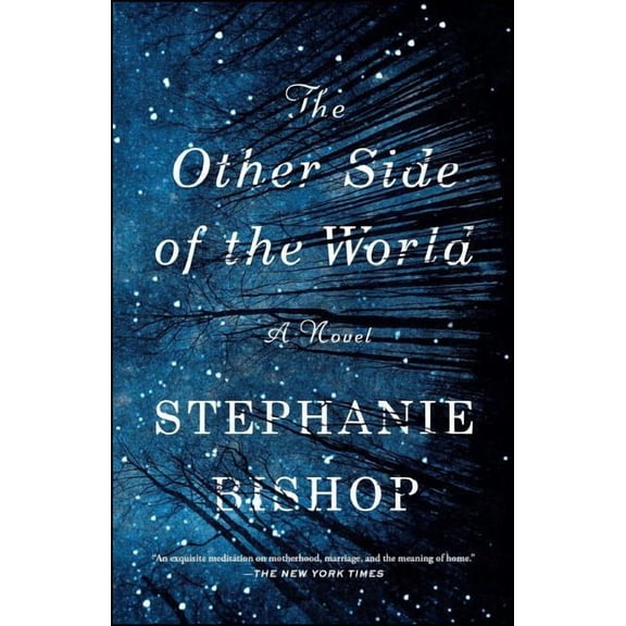 The Other Side of the World : A Novel (Paperback)