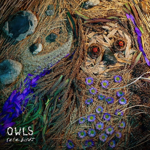The Owls - Rare Birds - Music & Performance - CD