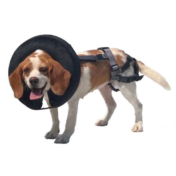 The PABS Delay her Spay Dog Chastity Belt, Sanitary Pad, and Inflatable Collar System (Small 8 Sani-T Pads)