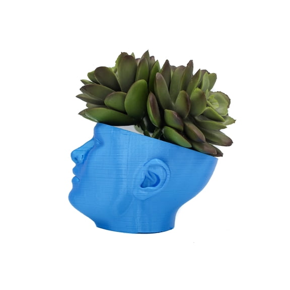 Clever Contraption Small Pot Head Succulent Planter Vase – 3D Printed