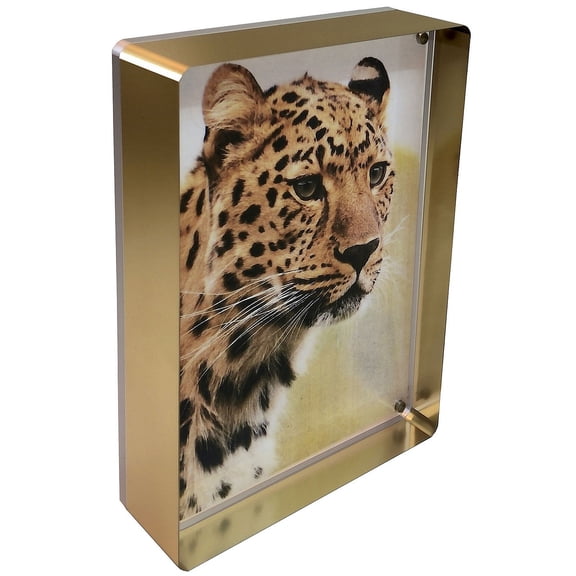 The PRESTIGE GOLD Silver 5x7 MAGNET FRAME by Canetti - 5x7
