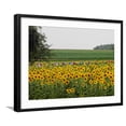 thumbnail image 1 of Art.com The Pack Rides Past a Sunflower Field During the Sixth Stage of the Tour De France Photographic Print, Black Frame Wall Art, 29" x 23", 1 of 5