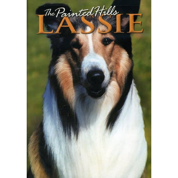 The Painted Hills (DVD)