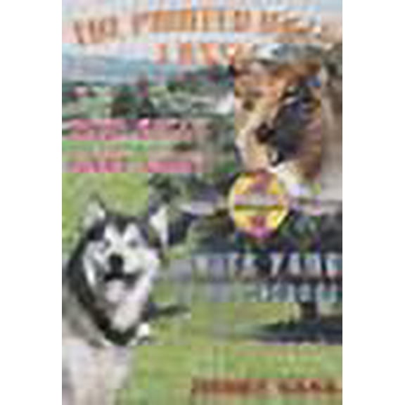 Pre-Owned The Painted Hills: Lassie / White Fang To The Rescue