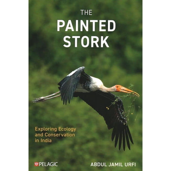 The Painted Stork (Paperback)