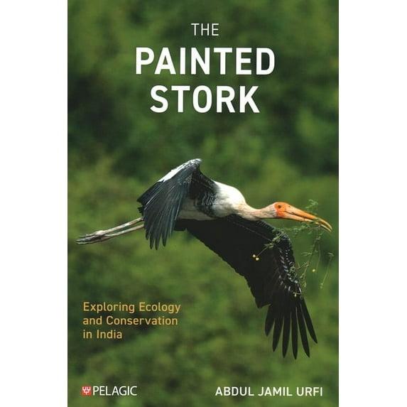 The Painted Stork (Paperback)