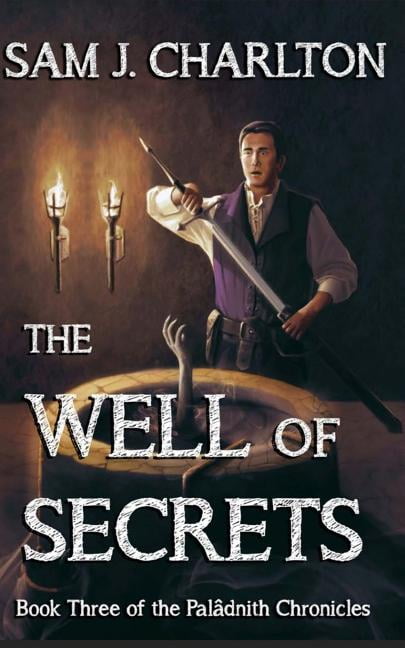 The Palâdnith Chronicles: The Well of Secrets (Paperback)