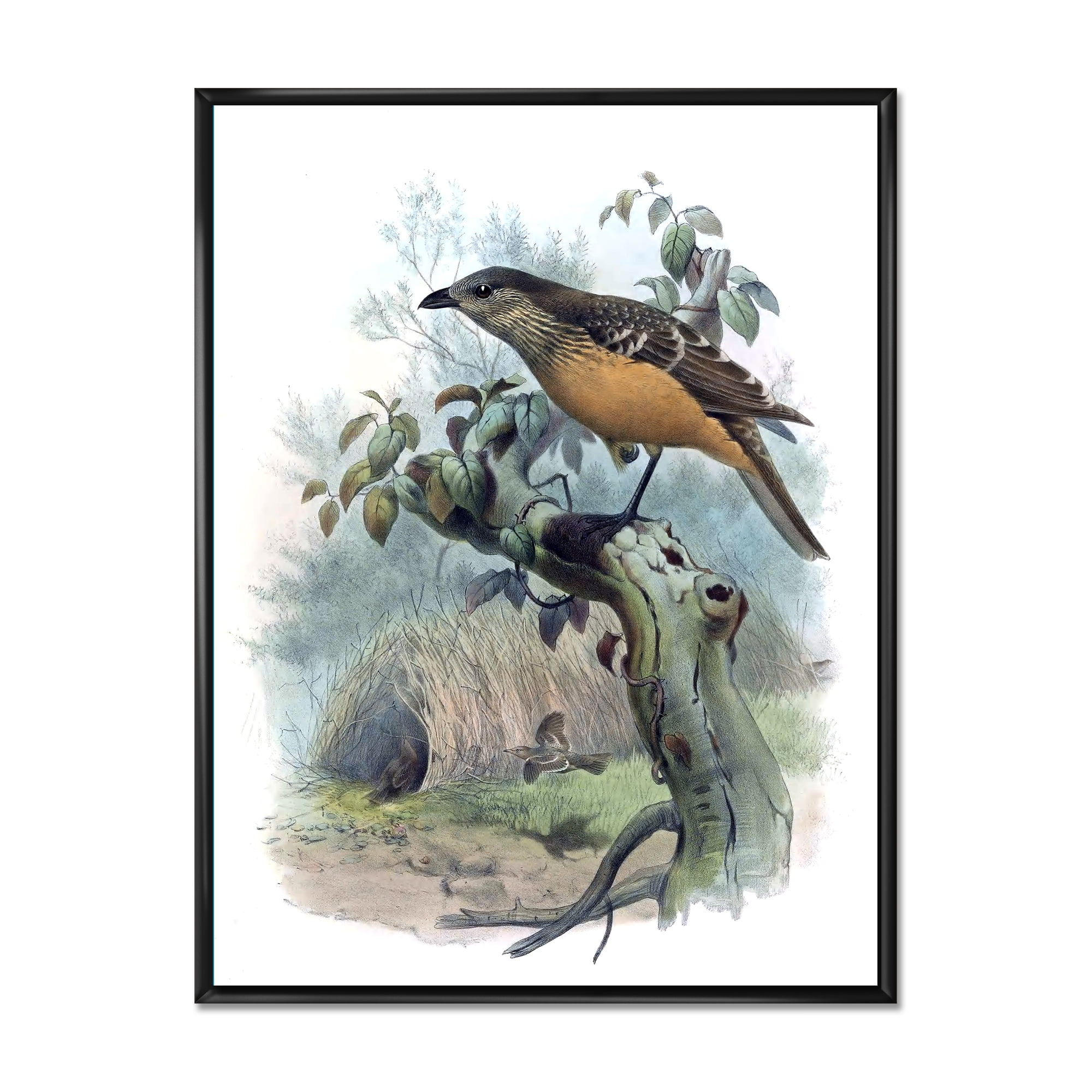 The Paradise Birds on a Tree Branch 16 in x 32 in Framed Painting Canvas Art Print, by Designart