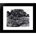thumbnail image 1 of The Park at Arles 20x24 Framed Art Print by Vincent van Gogh, 1 of 2