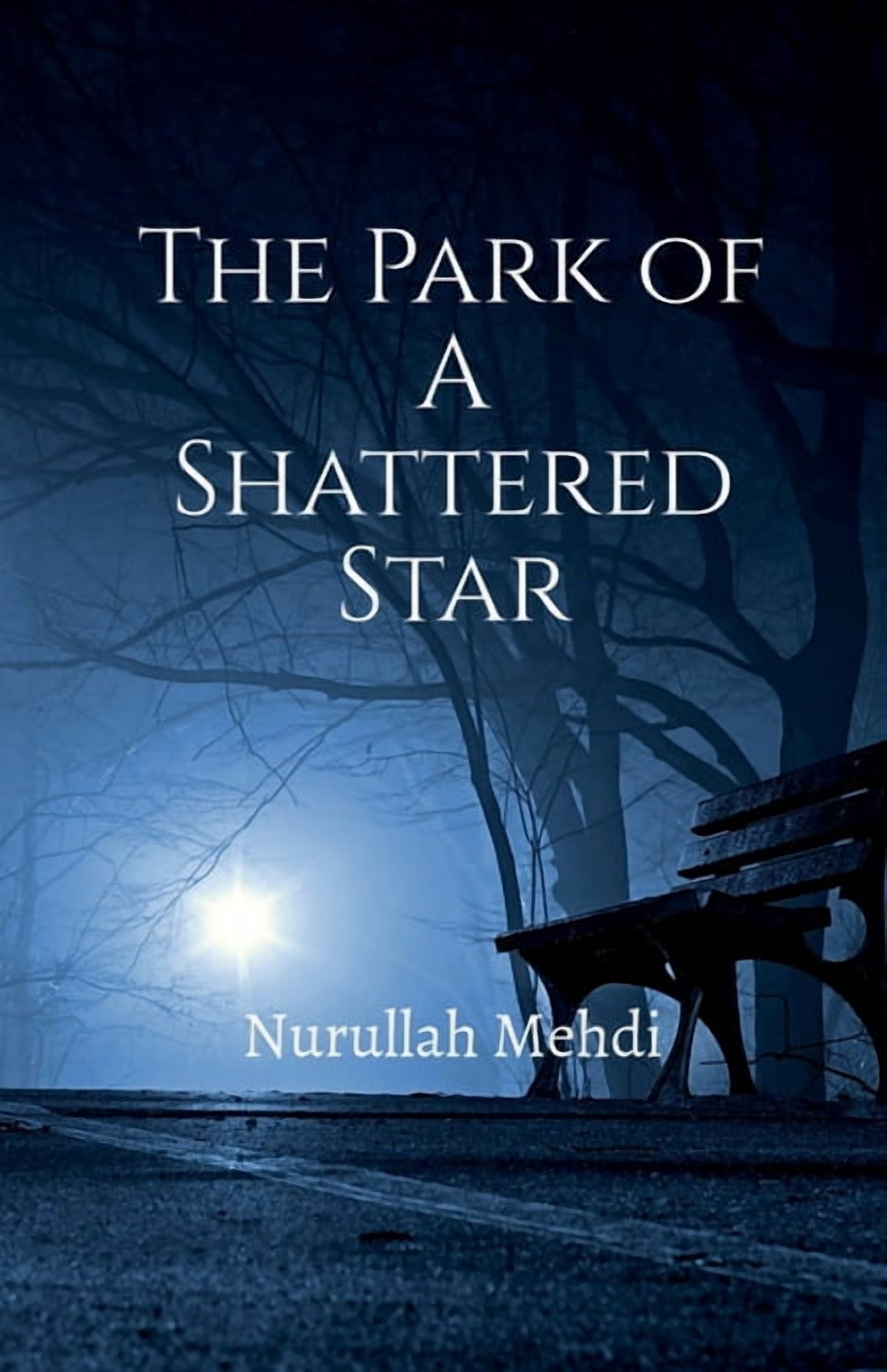 The Park of A Shattered Star, (Paperback)