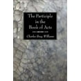 thumbnail image 1 of The Participle in the Book of Acts (Paperback), 1 of 1