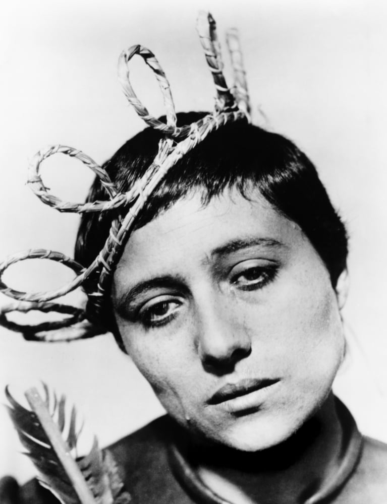 The Passion Of Joan Of Arc Canvas Art - (16 x 20)