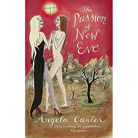 Pre-Owned The Passion Of New Eve (Virago Modern Classics) Paperback