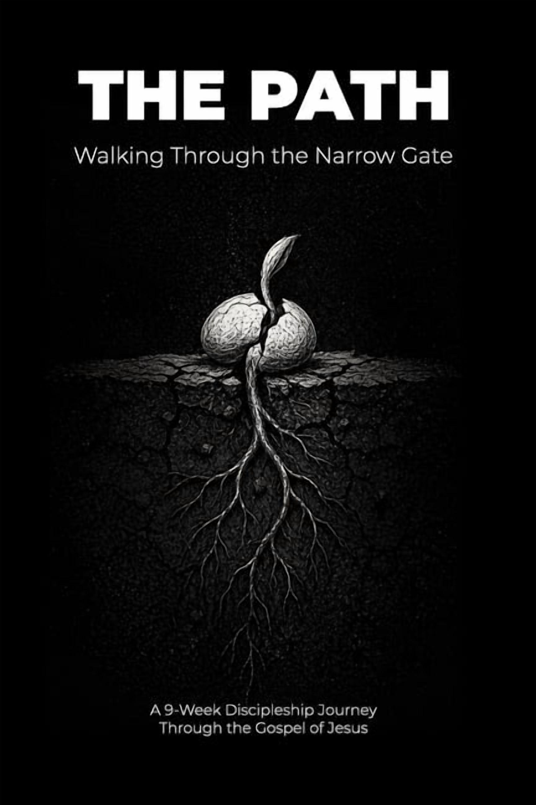 The Discipleship Journey The Path: Walking Through the Narrow Gate, Book 1, (Paperback)