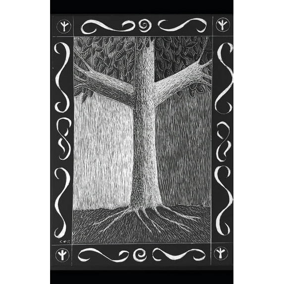 The Path of the Runes: An Introductory Guide to Runes, (Paperback)