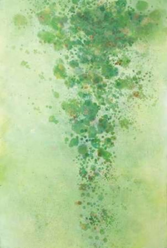 The Patina of Stillness Canvas Art - BJ Lantz (24 x 36)