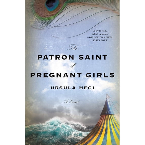 The Patron Saint of Pregnant Girls : A Novel (Paperback)
