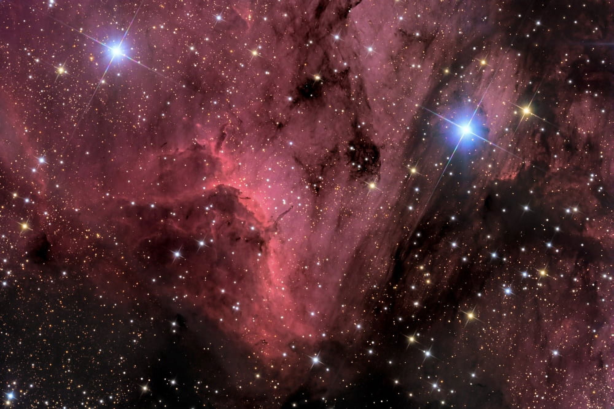 The Pelican Nebula Canvas Art - Roth RitterStocktrek Images (35 x 23)