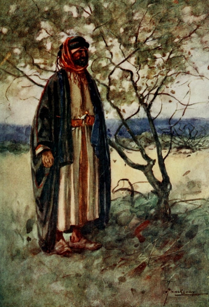 The People of Egypt 1916 Bedouin Arab Canvas Art - Lance Thackeray (18 x 24)
