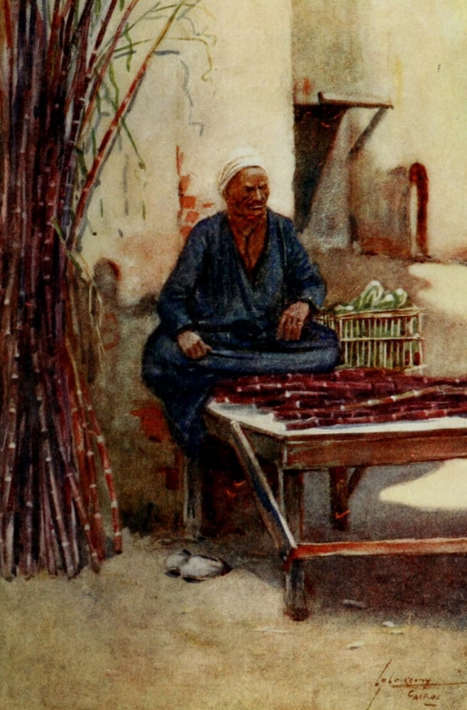 The People of Egypt 1916 Sugar-cane seller Canvas Art - Lance Thackeray (18 x 24)
