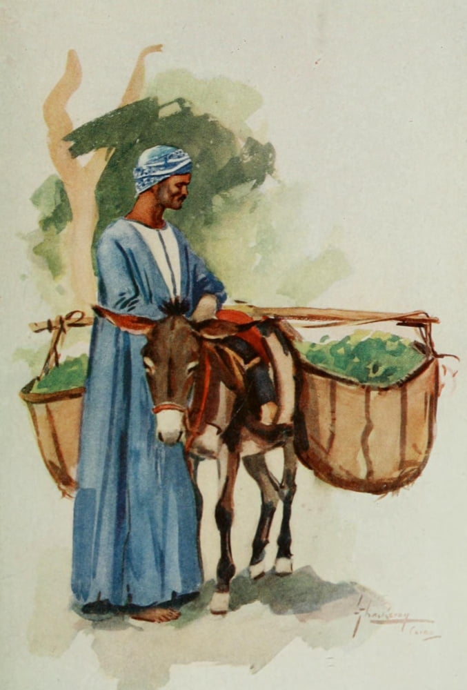 The People of Egypt 1916 Vegetable-seller Canvas Art - Lance Thackeray (18 x 24)