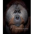 thumbnail image 1 of Pre-Owned The People of the Forest Paperback, 1 of 1