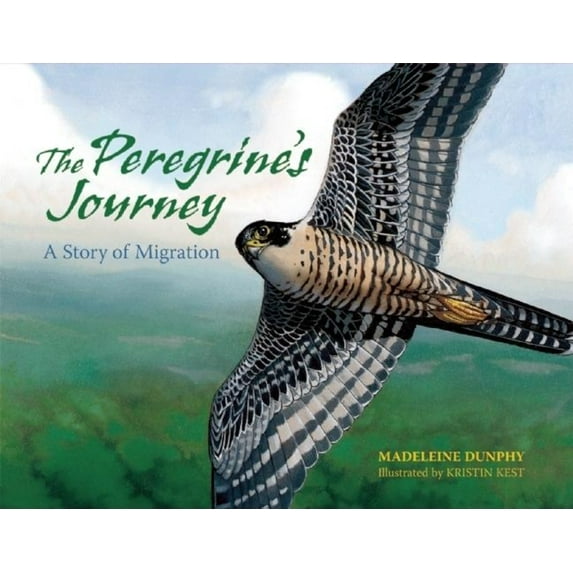 A Story of Migration The Peregrine's Journey: A Story of Migration, Book 1, (Paperback)