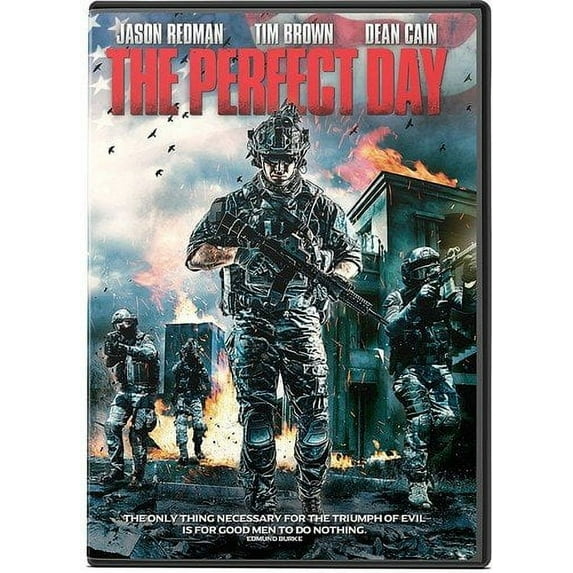 The Perfect Day (DVD)
