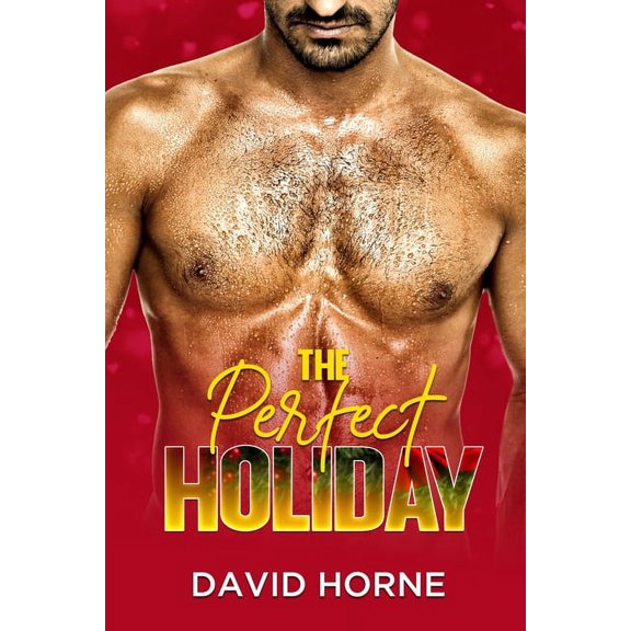 The Perfect Holiday (Paperback)