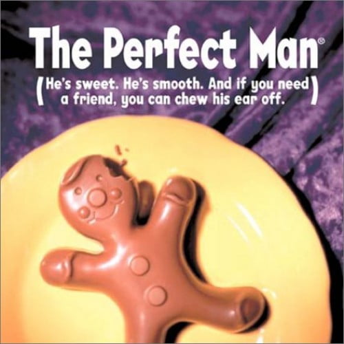 Pre-Owned The Perfect Man (Hardcover) 0740722379 9780740722370
