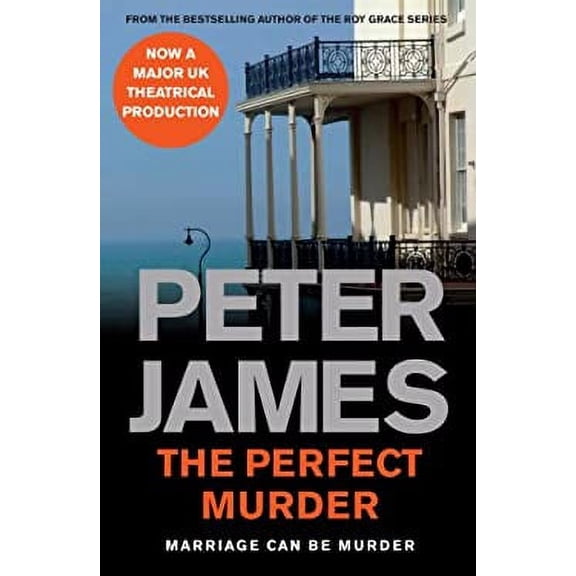 Pre-Owned The Perfect Murder (Paperback) by Peter James